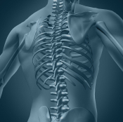 imagem destaque elipse infiltração de coluna